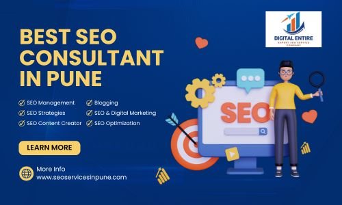 Best seo Consultant in Pune